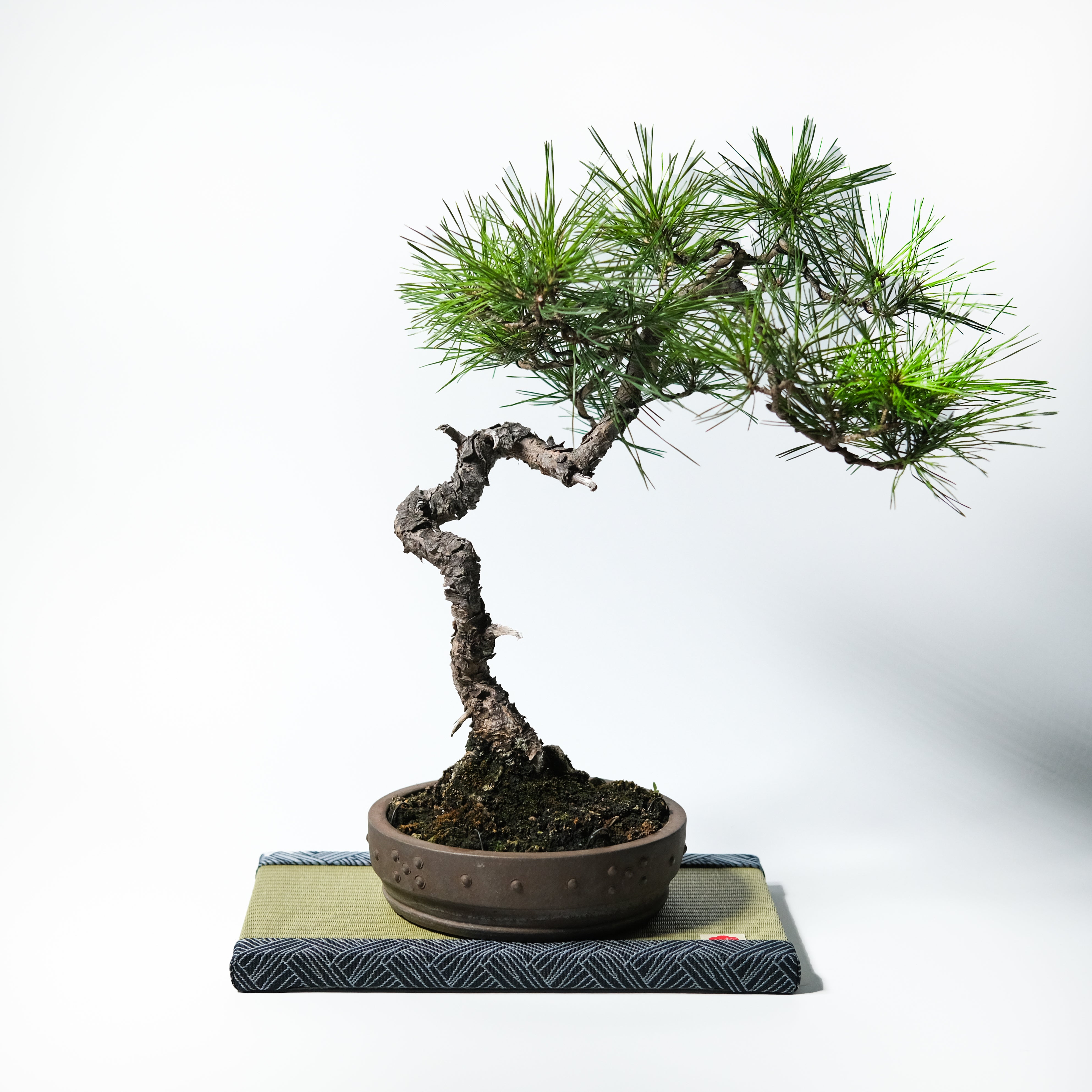 IGUSA MAT(Large-Brown )